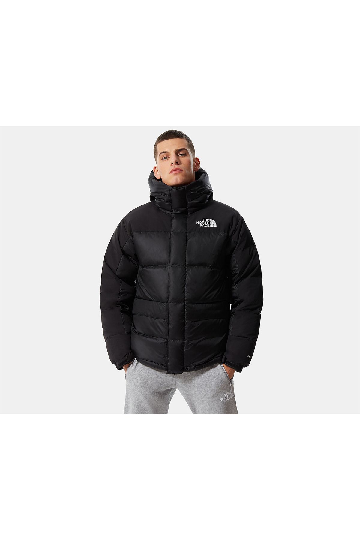 کاپشن آدیداس The North Face با کد NF0A3Y1IJK31AKS-29