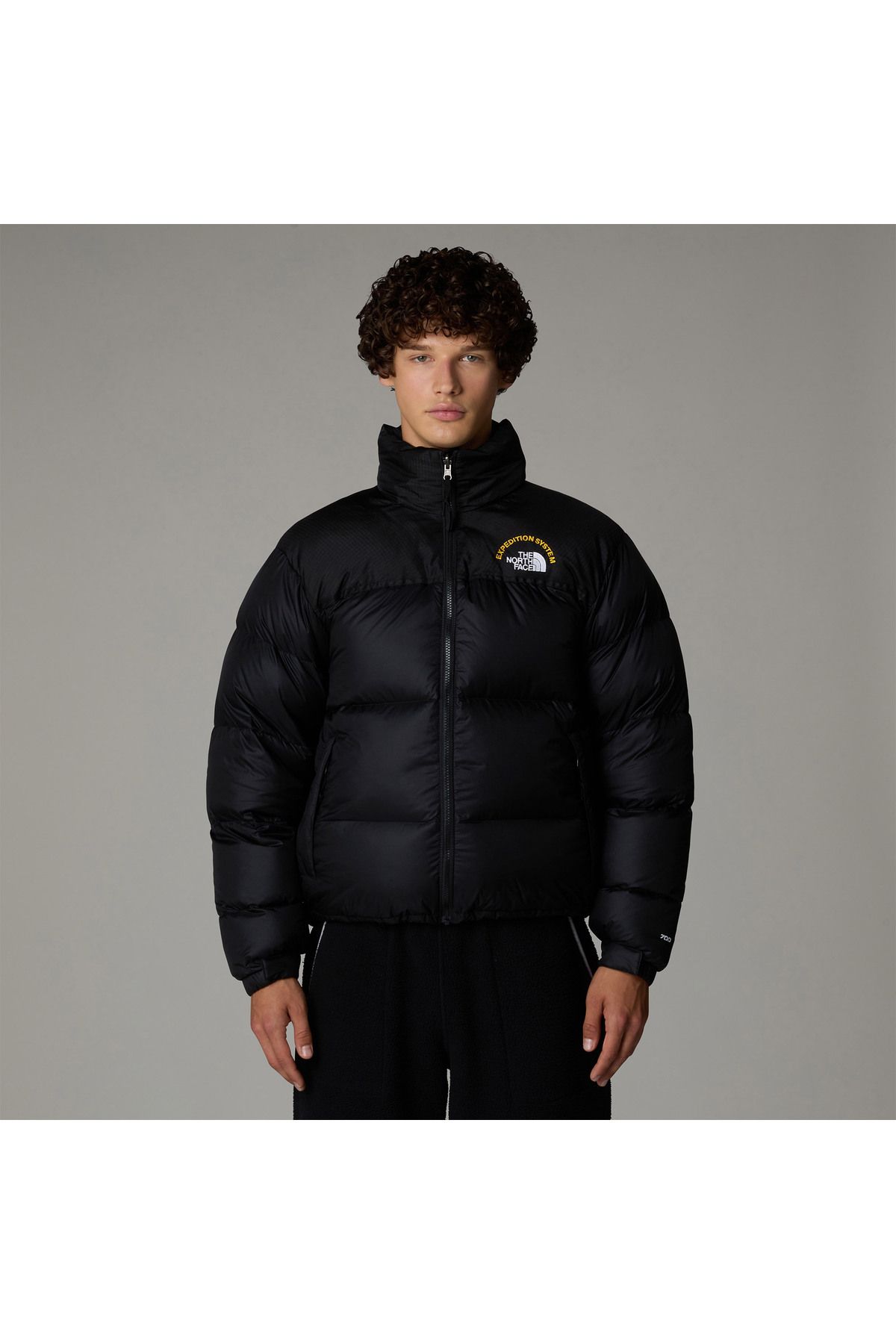 کاپشن آدیداس The North Face با کد NF0A3C8DKX71