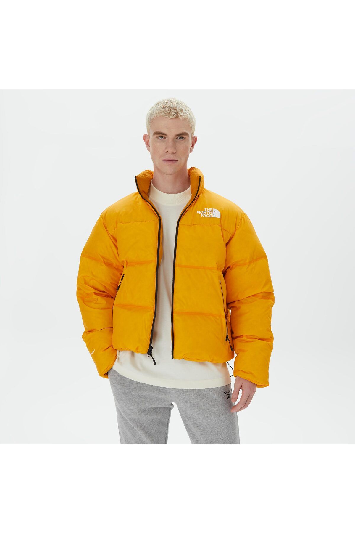 کاپشن آدیداس The North Face با کد NF0A7UQZ56P1